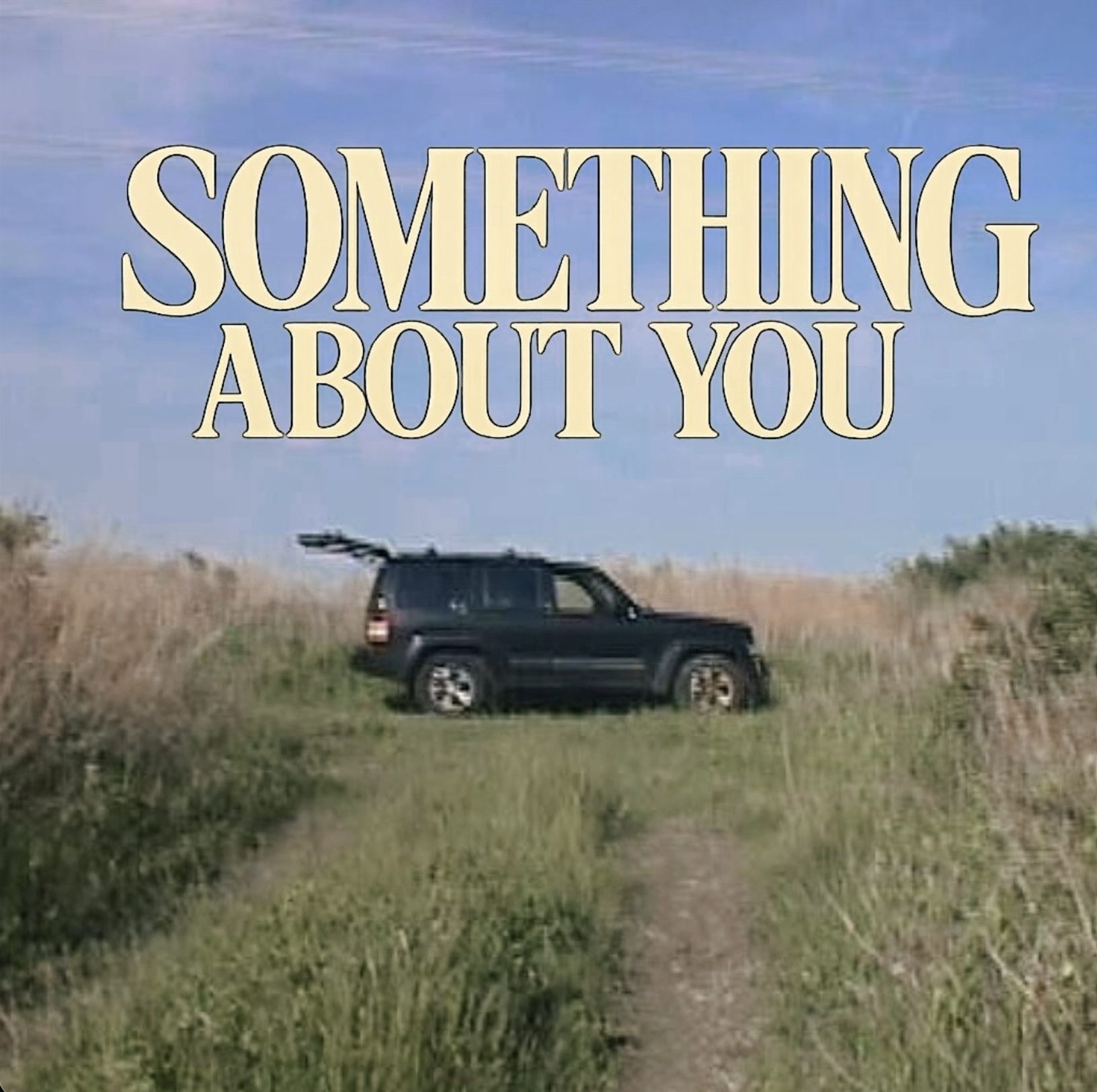 Something About You cover art